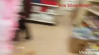 Tudo por 1 dólar no Dollar Tree - USA | Boston com Ana Silvia