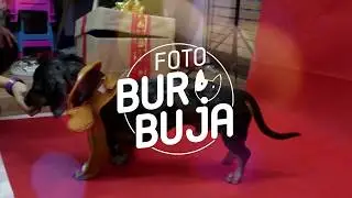 Nosotras foto burbuja