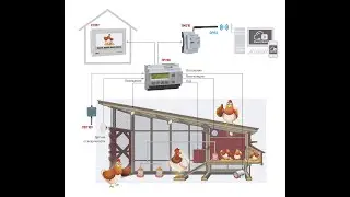 Smart chicken coop. Part 2