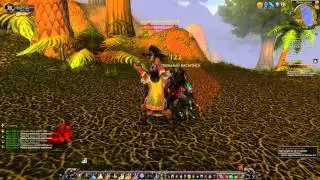 Давайте поиграем в World of Warcraft Серия 11 ( 26 -27 )