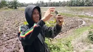 Cara Terbaik Untuk Cari Ikan Ditempat ini Dijamin Cepat Dapet Ikannya