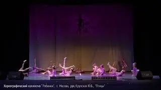 Птицы
