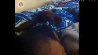 Самое смешное видео. Приколы. #2