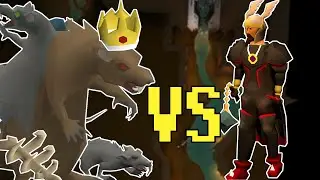 SCURRIUS THE RAT KING | Old School RuneScape Channel Membership Series Episode 13