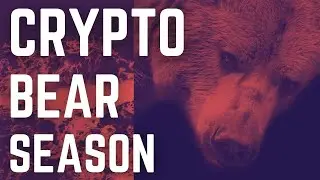 Crypto Bear Season | How To Prosper