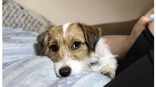 Видео не моё!