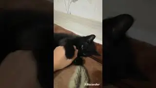 ая