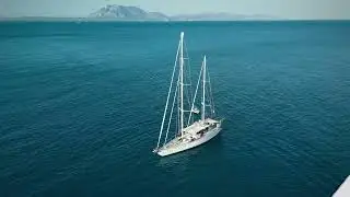 Blue Panda, Mavi Ormanlar için Türkiye'de 🌊