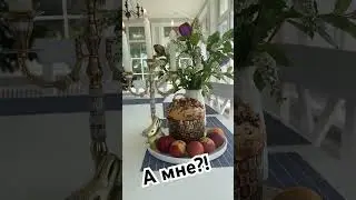 5 мая 2024 г.