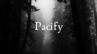 PACİFY AMACI VE PVP MODU
