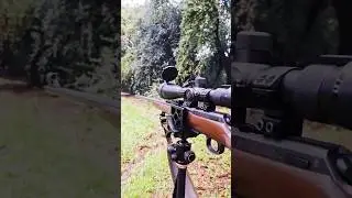 CZ 457 Lux .22LR (PART 5) VORTEX VIPER #plinking #22lr #22wmr