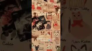 Какое впечатление вы на него производите🦋🩷
