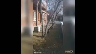 Видео-отчет о передаче книг в Библиотеку № 9 им. М. М. и Е.П. Нарышкиных.