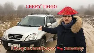 Chinese RAV4. Chery Tiggo T11 Review. Chinese Cherry