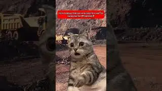 #гумор