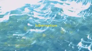 kneu - hibernation (Official Music Video)