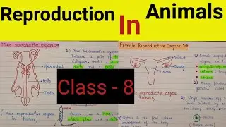 Reproduction in animals chapter 9 class 8 | Reproduction in animals for class 8 notes