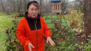 Что необходимо сделать в ноябре в саду и в огороде! План работ!