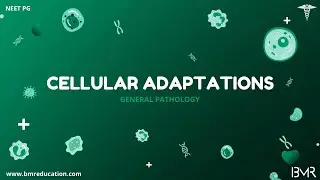 Cellular adaptations | General Pathology 2025 | Types & Mechanisms
