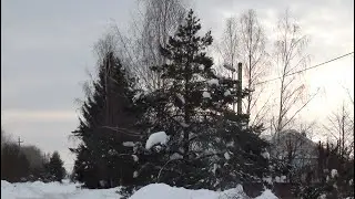 п. Никологоры ул. Газовиков