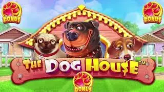 Dog House - Bonus Music - Pragmatic Play