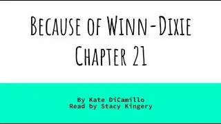 Because of Winn Dixie, Chapter 21