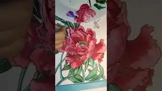 Рисунок Акварелью Цветок Пиона/Ботаническая Акварель/Watercolor Drawing Peony Flower/Botanical Art