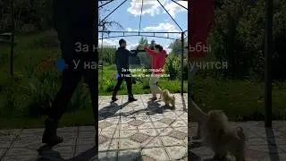 Страхи #психология #shorts