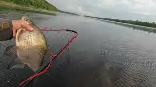 В поисках капризного леща. Рыбалка на бортовые удочки