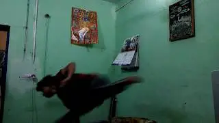 WALK ON THE WALL