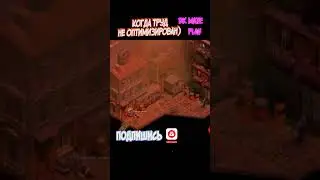 ФАНЫ 