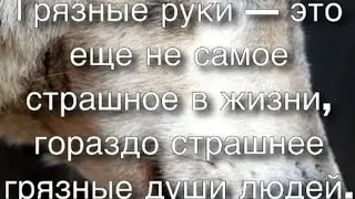 Патриот- это не тот кто кричит на каждом шагу!Отвечаем адекватно на не адекватное!#2024shorts