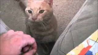 Ну еще еще