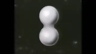 Спекание Киевнаучфильм