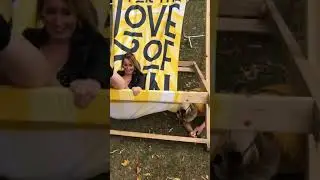 Gin vs giant chair