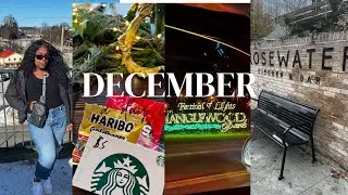 #December #Winter #Christmas   December Winter Vlog ❄️☃️