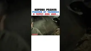 #тикток