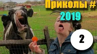 Смех И только, приколы 2019 выпуск №2