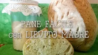 EASY BREAD with SOURDOUGH baked on the same day