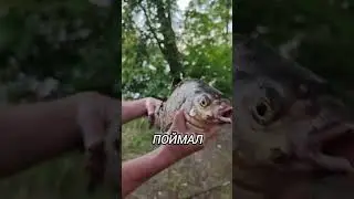ГЛАВНОЕ ПРАВИЛО НА РЫБАЛКЕ #рыбалка #волга #fishing