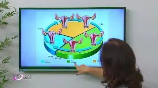 MENSTRUAÇÃO