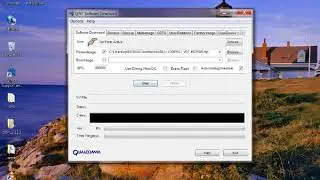Using QPST