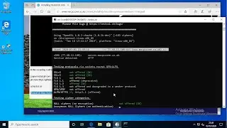 Installing Testssl.sh Into OpenSUSE on Windows 10 WSG/WSL