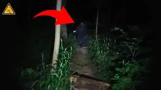 10 Encontros Reais e Perturbadores em Florestas Sinistras! #9