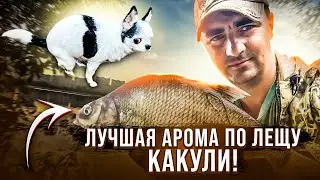 Лучшая АРОМА по лещу!  КАКУЛИ!