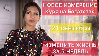 Изменить жизнь за 6 недель