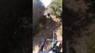 Loose and blind, such good singletrack exploration in the mountains! #mtb #mountainbike  #downhill