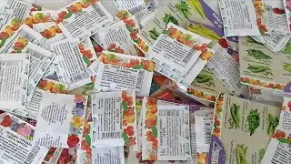 Seeds from Svetofor for pennies! HUGE BUYING of vegetable and flower seeds!