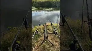 Речка, рыбалка, отдых с друзьями