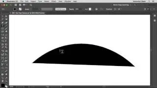 Adobe Illustrator 